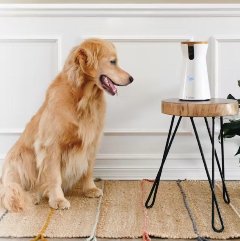 Dog Puzzle Feeder Interactive Pet Food Treat Dispenser